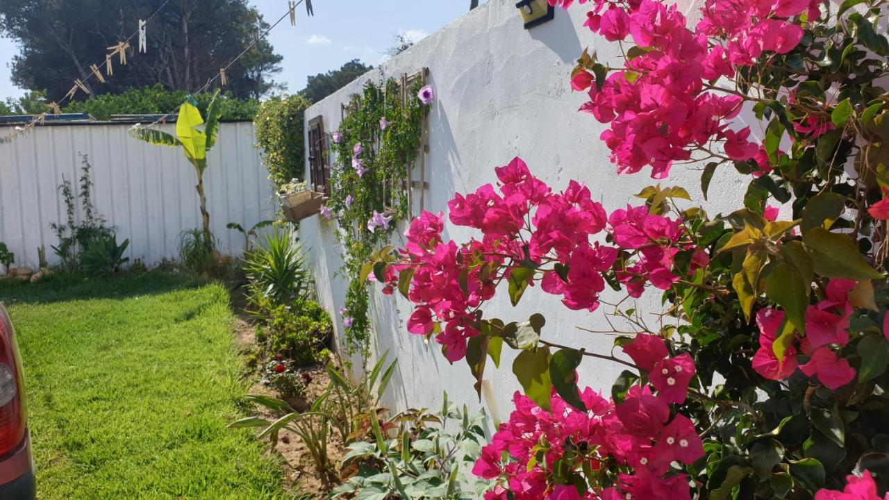 Casa Pelicano Chiclana de la Frontera Exterior photo